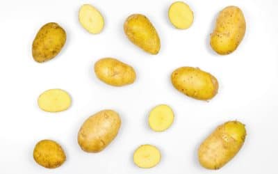 Aprovechamiento de la patata: alimento de calidad siempre al mejor precio